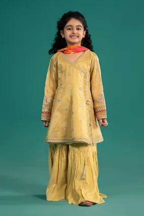 3 Piece Embroidered Cotton Zari Net Suit | MKS-EF25-46