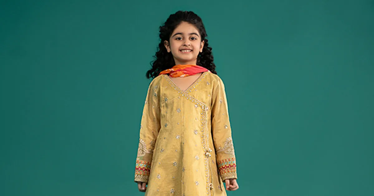 3 Piece Embroidered Cotton Zari Net Suit | MKS-EF25-46