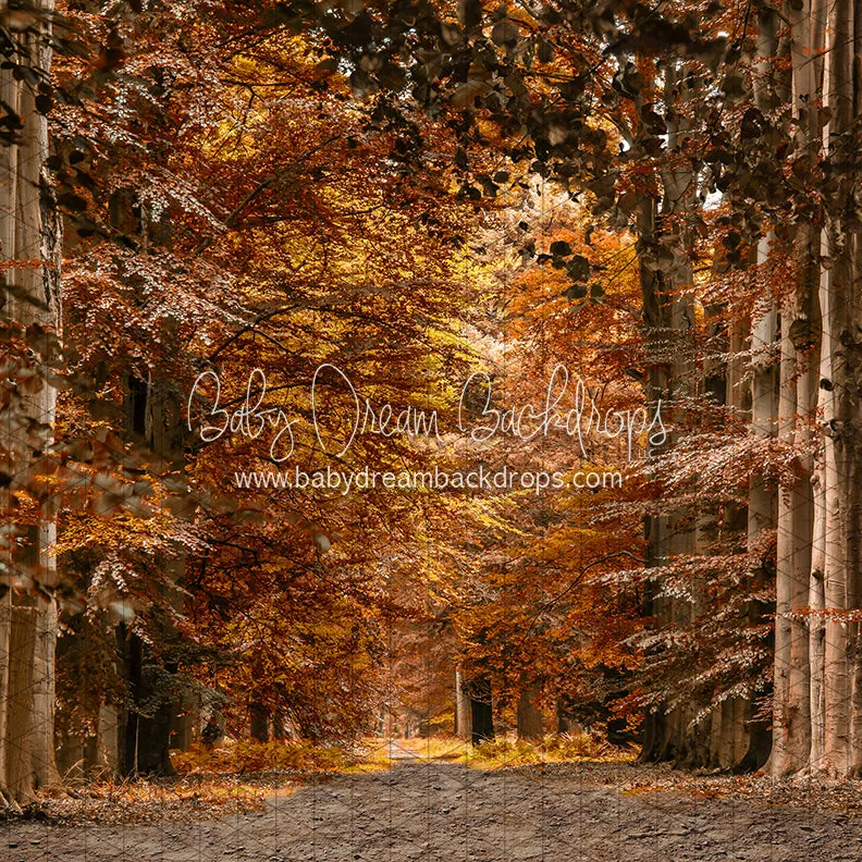 Autumn Drive (CC)