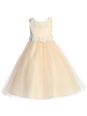 Big Girls Blush Pearl Floral Applique Princess Ballgown Dress 8-14