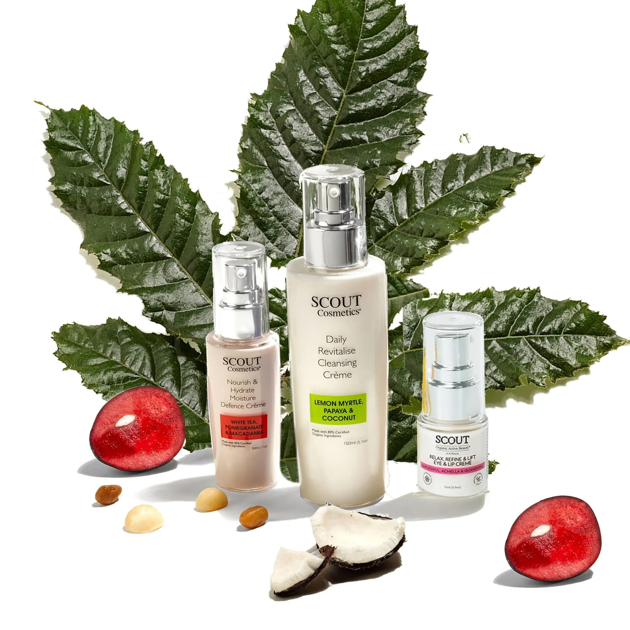 Glorious Winter Skin Kit